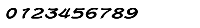 Shree Tamil 3825 Italic Font OTHER CHARS