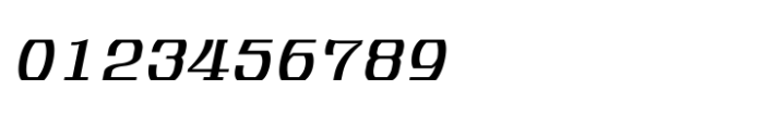 Shree Tamil 3828 Italic Font OTHER CHARS
