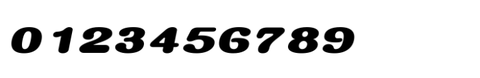 Shree Tamil 3873 Italic Font OTHER CHARS