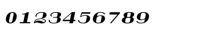 Shree Tamil 3891 Italic Font OTHER CHARS