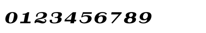 Shree Tamil 3900 Italic Font OTHER CHARS