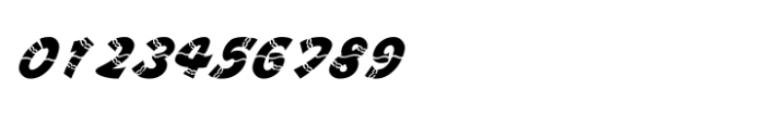 Shree Tamil 3945 Italic Font OTHER CHARS