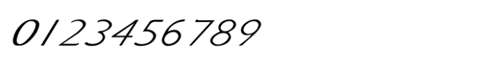 Shree Tamil 3953 Italic Font OTHER CHARS