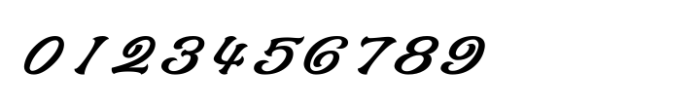 Shree Tamil 5406 Italic Font OTHER CHARS