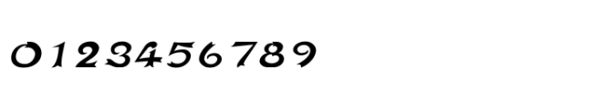 Shree Telugu 1629 Italic Font OTHER CHARS