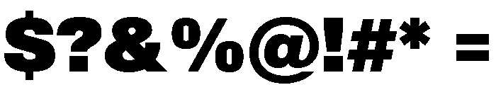 Shapiro Max Black Font OTHER CHARS