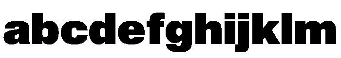 Shapiro Max Black FONT