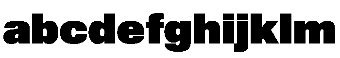 Shapiro Max Ultra FONT