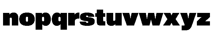 Shapiro Max Ultra Font LOWERCASE
