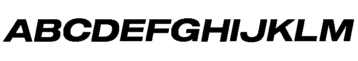 Shapiro Wide Bold Italic Font UPPERCASE