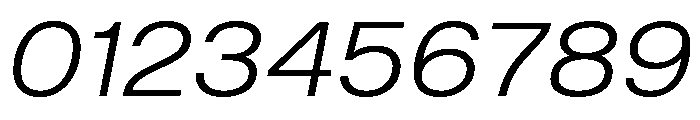 Shapiro Wide Light Italic Font OTHER CHARS
