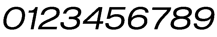 Shapiro Wide Regular Italic Font OTHER CHARS