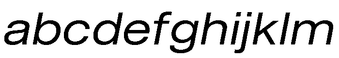 Shapiro Wide Regular Italic FONT