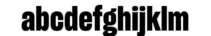 Sharp Grotesk Bold 15 Regular Font LOWERCASE