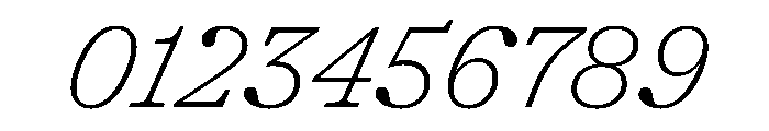 Shinka ThinItalic Font OTHER CHARS