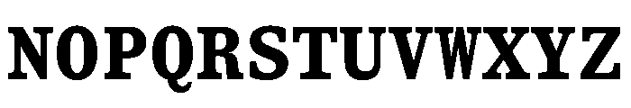 ShinkaMono Bold Font UPPERCASE