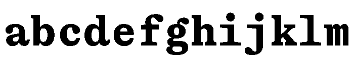 ShinkaMono Bold FONT