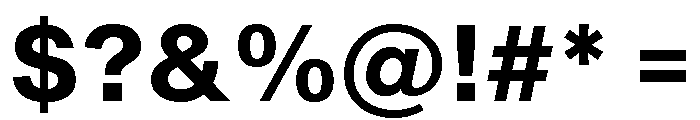 Shapiro Bold Font OTHER CHARS