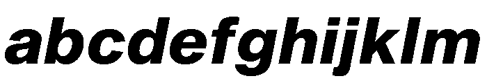 Shapiro Extra Bold Italic FONT