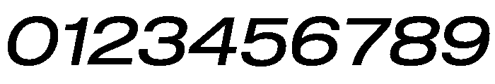 Shapiro Wide Book Italic Font OTHER CHARS
