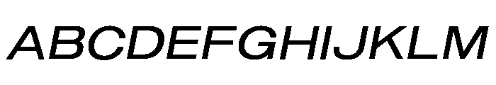 Shapiro Wide Book Italic Font UPPERCASE