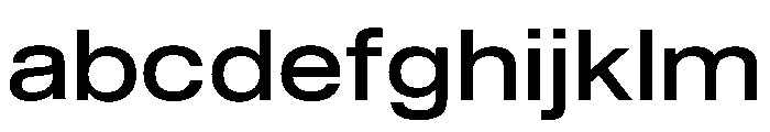 Shapiro Wide Book FONT