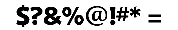 Shinn Bold Font OTHER CHARS