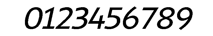 Shinn Book Italic Font OTHER CHARS