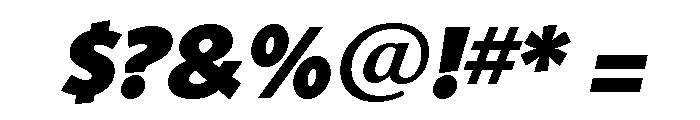 Shinn Extra Bold Italic Font OTHER CHARS