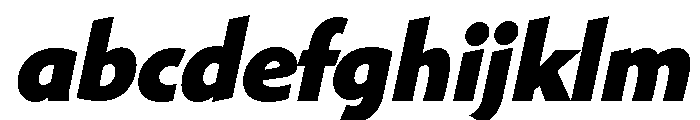 Shinn Extra Bold Italic FONT