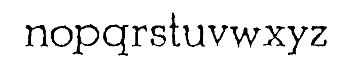 Shrub Regular Font LOWERCASE