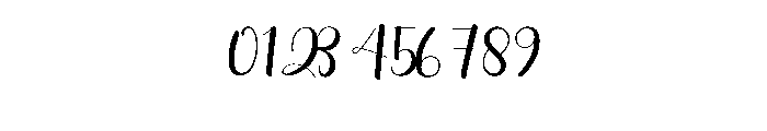 Signature Daily Font OTHER CHARS