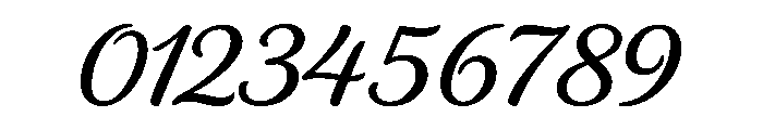 Signora Regular Font OTHER CHARS