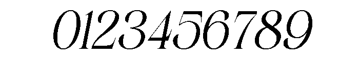Silkydusk Italic Font OTHER CHARS