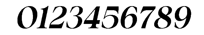 Silvora Italic Font OTHER CHARS