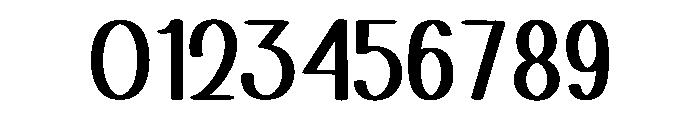 Simple Developer Font OTHER CHARS
