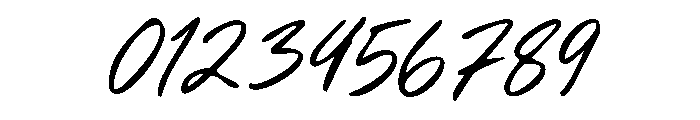 Simple Living Alt Font OTHER CHARS