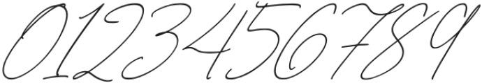 Signatires Regular otf (400) Font OTHER CHARS