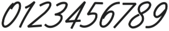 Silent Fighter otf (400) Font OTHER CHARS