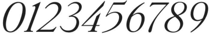 Silk Serif Text Light Italic otf (300) Font OTHER CHARS