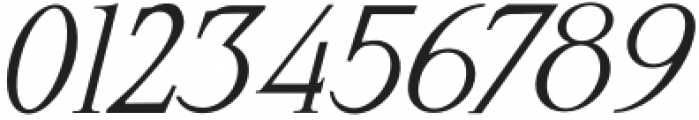 SilverSilk-Italic otf (400) Font OTHER CHARS