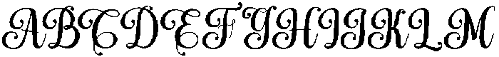 Simple Calligraphy Bold Slant Regular otf (700) Font
