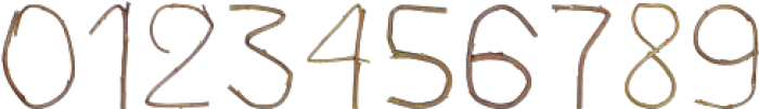 Single Twig Regular otf (400) Font OTHER CHARS