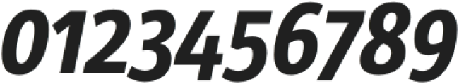 Site XCondensed Bold Italic otf (700) Font OTHER CHARS