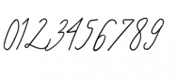Signature Script Bold Font OTHER CHARS