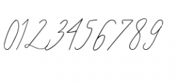 Signature Script Regular Font OTHER CHARS