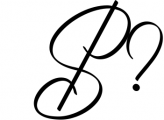 Signature & Brush Font Bundle - Best Seller Font Collection 1 Font OTHER CHARS