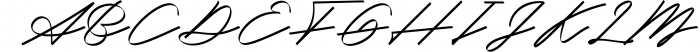 Signature & Brush Font Bundle - Best Seller Font Collection 12 Font UPPERCASE