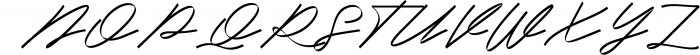 Signature & Brush Font Bundle - Best Seller Font Collection 12 Font UPPERCASE