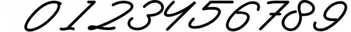 Signature & Brush Font Bundle - Best Seller Font Collection 7 Font OTHER CHARS